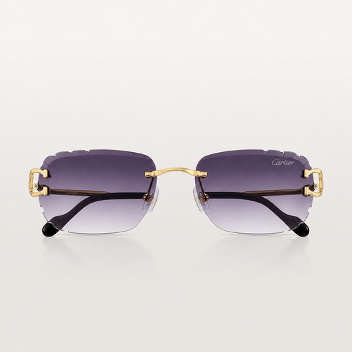 CR-TR Lunettes solaires piccadilly de - vue 2