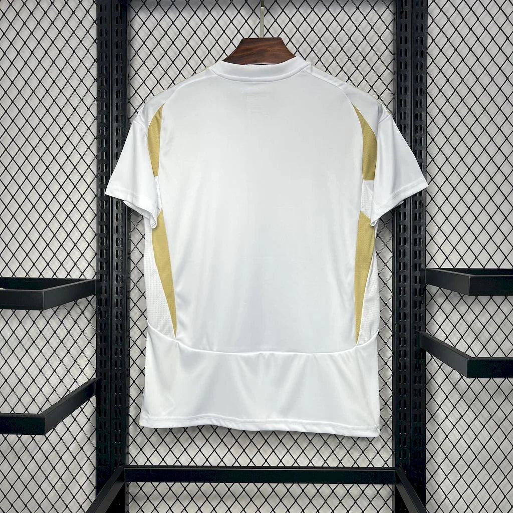 Maillot AL NASSR DOMICILE 24/25 v1 - vue 3