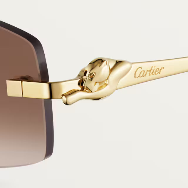 CR-TR Lunettes solaires panthère de v3 - vue 5